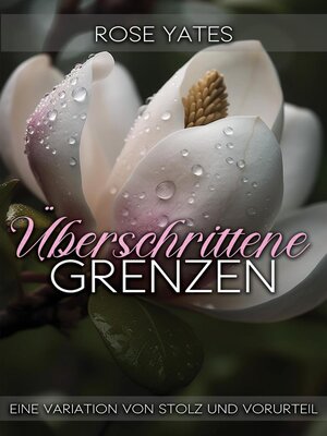 cover image of Überschrittene Grenzen